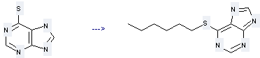 9H-Purine,6-(hexylthio)- can be obtained by 1,7(9)-Dihydro-purine-6-thione 